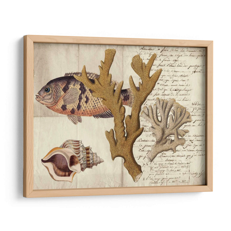 Sealife Journal I - Vision Studio | Cuadro decorativo de Canvas Lab