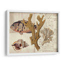 Sealife Journal I - Vision Studio | Cuadro decorativo de Canvas Lab