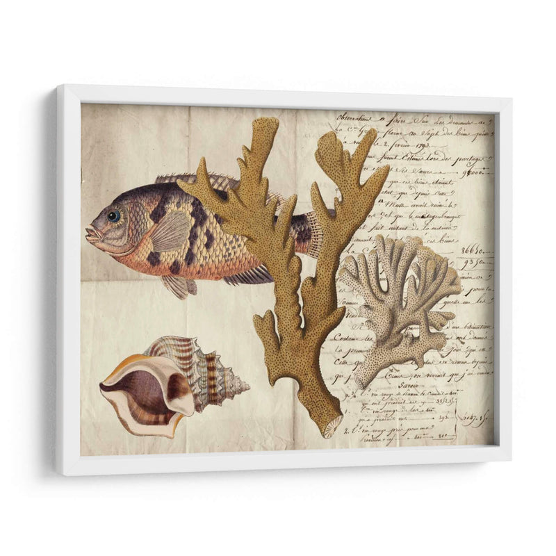 Sealife Journal I - Vision Studio | Cuadro decorativo de Canvas Lab