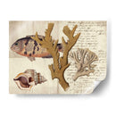 Sealife Journal I - Vision Studio | Cuadro decorativo de Canvas Lab