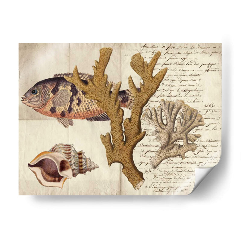Sealife Journal I - Vision Studio | Cuadro decorativo de Canvas Lab