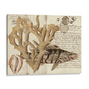Sealife Journal Ii - Vision Studio | Cuadro decorativo de Canvas Lab