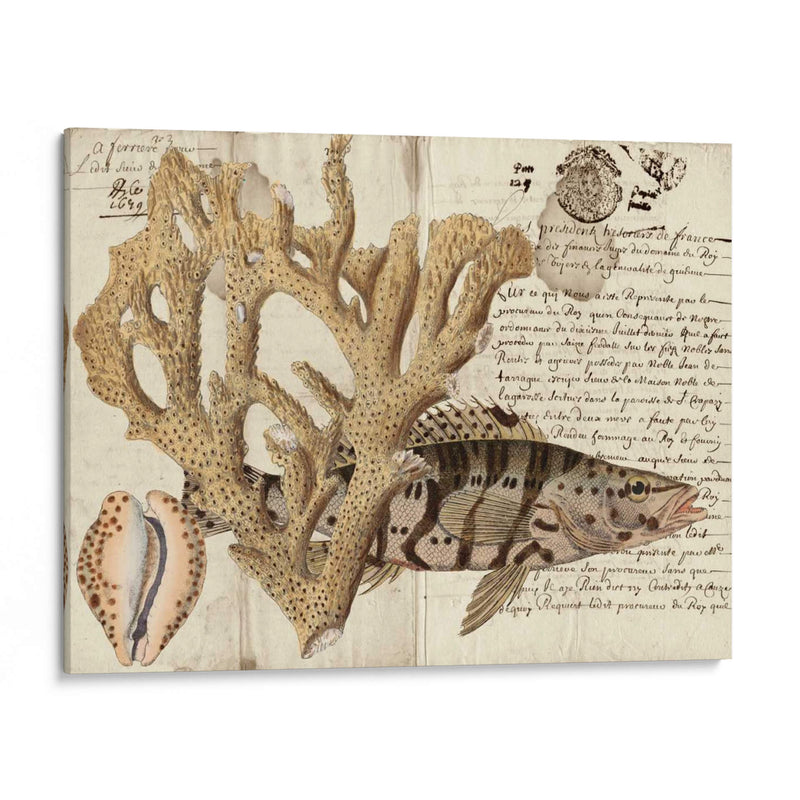 Sealife Journal Ii - Vision Studio | Cuadro decorativo de Canvas Lab