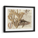 Sealife Journal Ii - Vision Studio | Cuadro decorativo de Canvas Lab