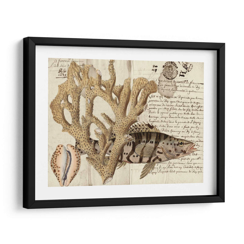 Sealife Journal Ii - Vision Studio | Cuadro decorativo de Canvas Lab