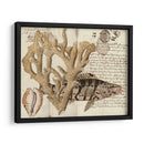 Sealife Journal Ii - Vision Studio | Cuadro decorativo de Canvas Lab