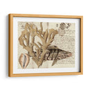 Sealife Journal Ii - Vision Studio | Cuadro decorativo de Canvas Lab