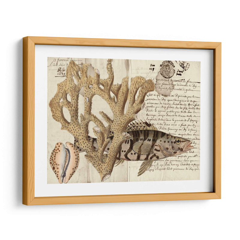 Sealife Journal Ii - Vision Studio | Cuadro decorativo de Canvas Lab