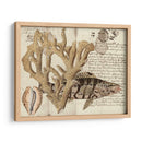 Sealife Journal Ii - Vision Studio | Cuadro decorativo de Canvas Lab