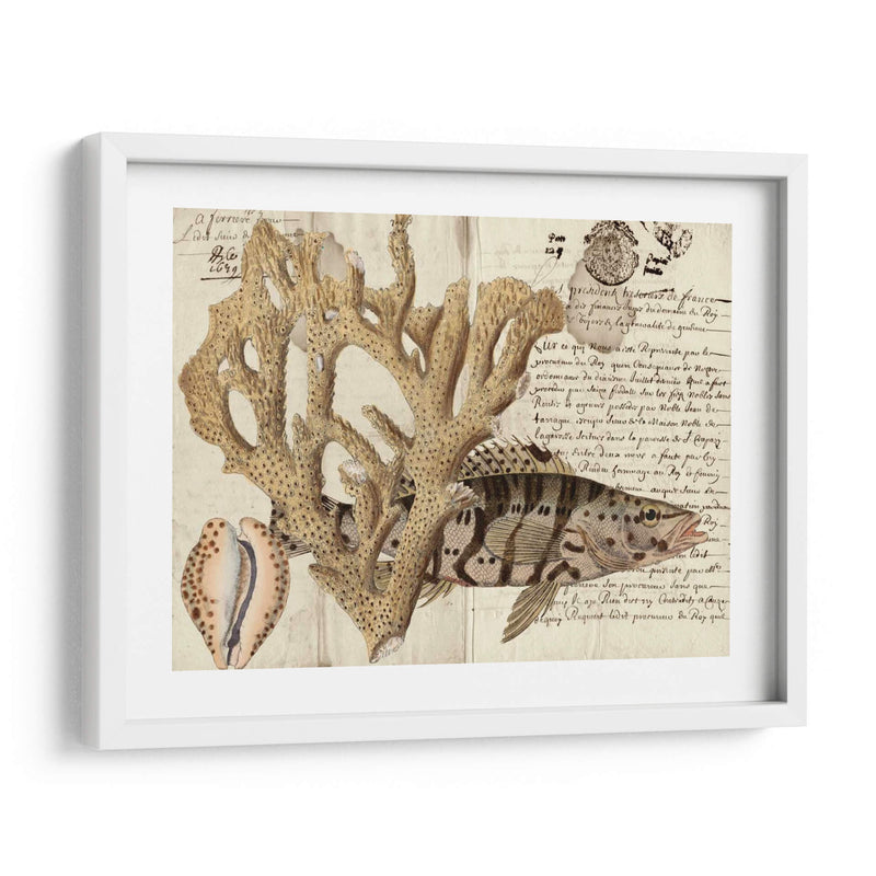 Sealife Journal Ii - Vision Studio | Cuadro decorativo de Canvas Lab