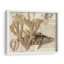 Sealife Journal Ii - Vision Studio | Cuadro decorativo de Canvas Lab