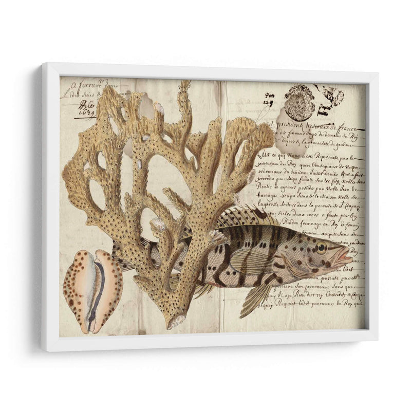 Sealife Journal Ii - Vision Studio | Cuadro decorativo de Canvas Lab