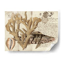 Sealife Journal Ii - Vision Studio | Cuadro decorativo de Canvas Lab