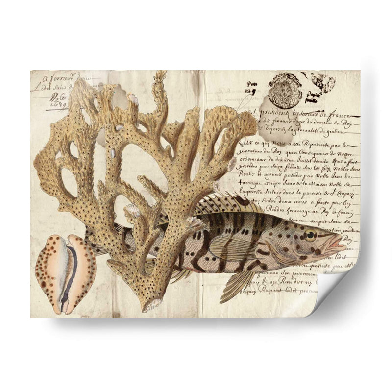 Sealife Journal Ii - Vision Studio | Cuadro decorativo de Canvas Lab