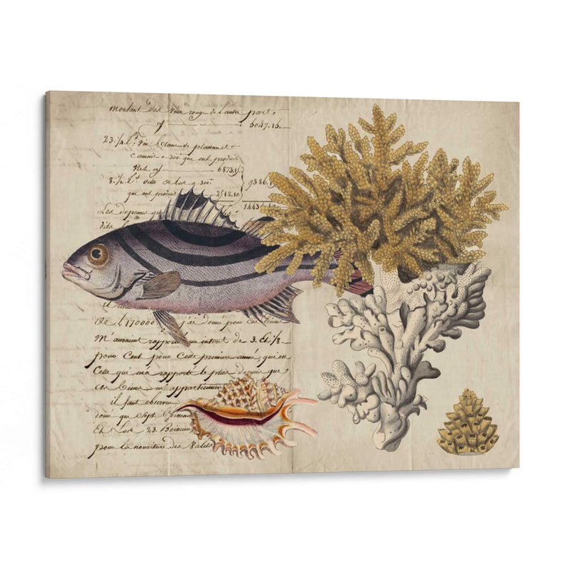 Sealife Journal Iii - Vision Studio | Cuadro decorativo de Canvas Lab