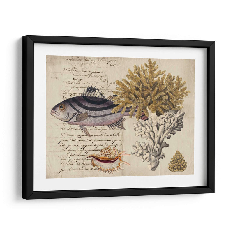 Sealife Journal Iii - Vision Studio | Cuadro decorativo de Canvas Lab