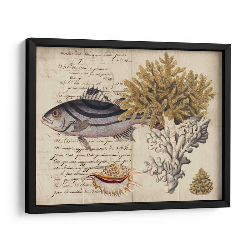 Sealife Journal Iii - Vision Studio | Cuadro decorativo de Canvas Lab
