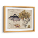 Sealife Journal Iii - Vision Studio | Cuadro decorativo de Canvas Lab