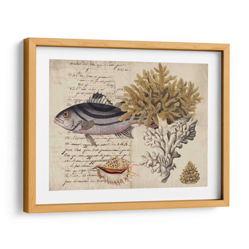 Sealife Journal Iii - Vision Studio | Cuadro decorativo de Canvas Lab