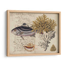 Sealife Journal Iii - Vision Studio | Cuadro decorativo de Canvas Lab