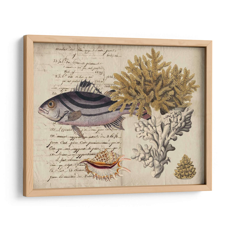Sealife Journal Iii - Vision Studio | Cuadro decorativo de Canvas Lab