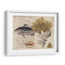 Sealife Journal Iii - Vision Studio | Cuadro decorativo de Canvas Lab