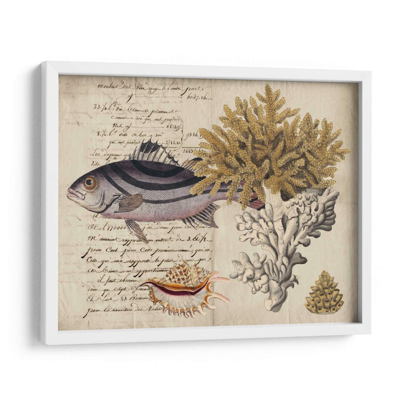 Sealife Journal Iii - Vision Studio | Cuadro decorativo de Canvas Lab