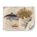 Sealife Journal Iii - Vision Studio | Cuadro decorativo de Canvas Lab