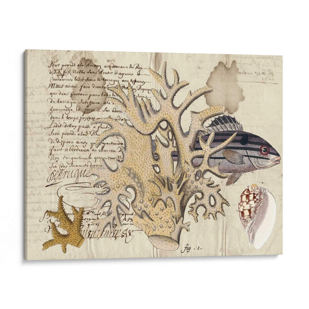 Sealife Journal Iv - Vision Studio | Cuadro decorativo de Canvas Lab