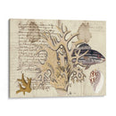 Sealife Journal Iv - Vision Studio | Cuadro decorativo de Canvas Lab