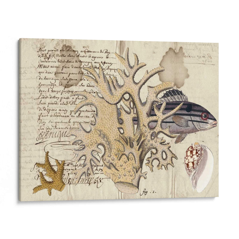 Sealife Journal Iv - Vision Studio | Cuadro decorativo de Canvas Lab