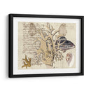 Sealife Journal Iv - Vision Studio | Cuadro decorativo de Canvas Lab