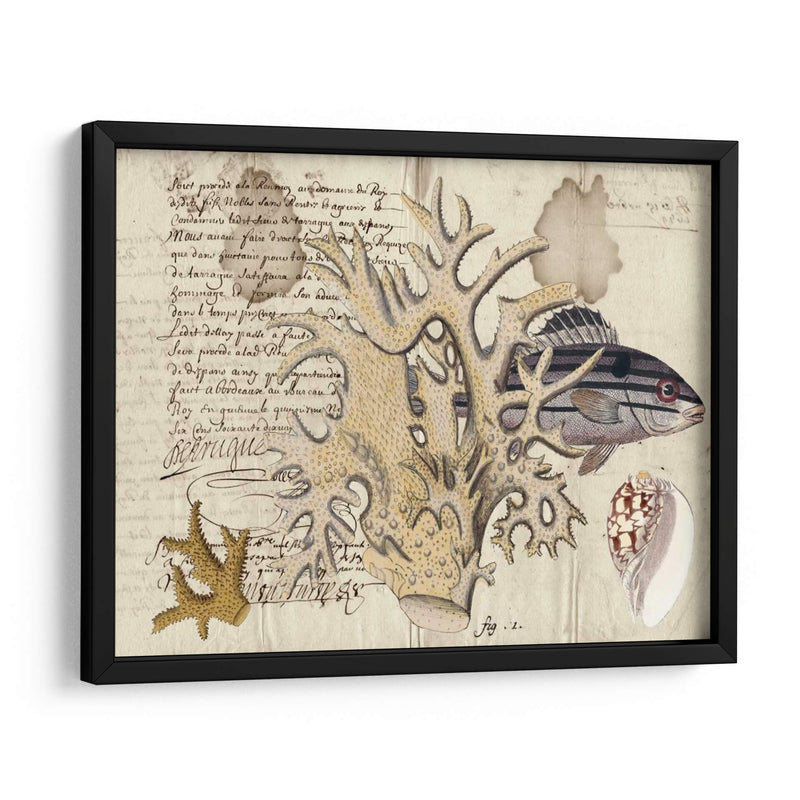 Sealife Journal Iv - Vision Studio | Cuadro decorativo de Canvas Lab