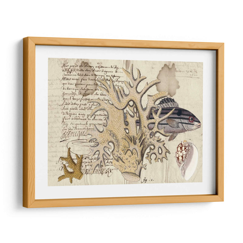 Sealife Journal Iv - Vision Studio | Cuadro decorativo de Canvas Lab