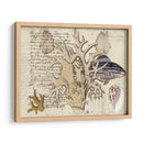 Sealife Journal Iv - Vision Studio | Cuadro decorativo de Canvas Lab