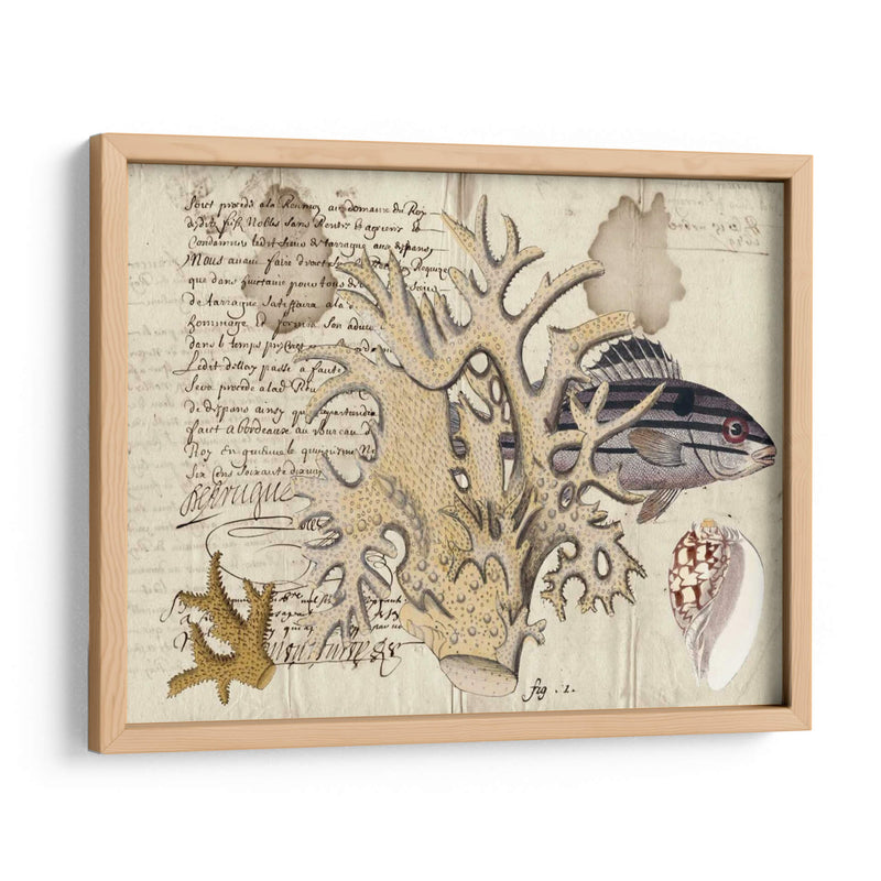 Sealife Journal Iv - Vision Studio | Cuadro decorativo de Canvas Lab