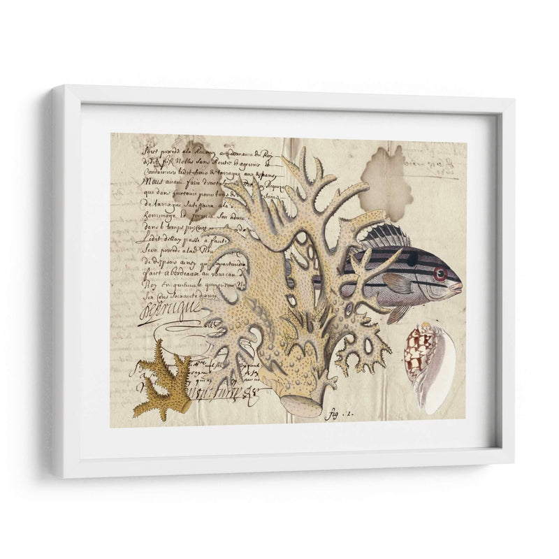 Sealife Journal Iv - Vision Studio | Cuadro decorativo de Canvas Lab