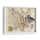 Sealife Journal Iv - Vision Studio | Cuadro decorativo de Canvas Lab