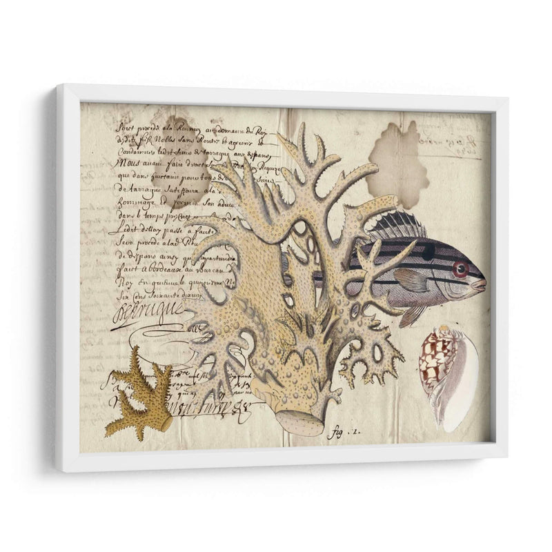 Sealife Journal Iv - Vision Studio | Cuadro decorativo de Canvas Lab