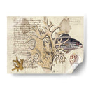 Sealife Journal Iv - Vision Studio | Cuadro decorativo de Canvas Lab