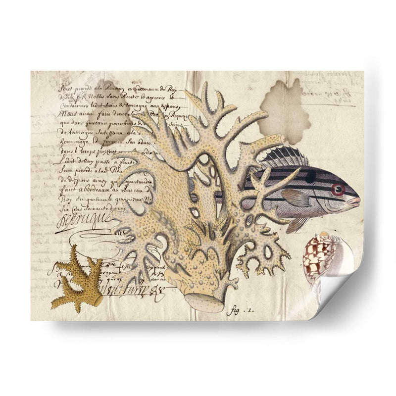 Sealife Journal Iv - Vision Studio | Cuadro decorativo de Canvas Lab