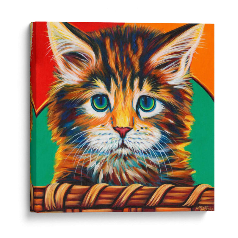 Gatito En La Cesta I - Carolee Vitaletti | Cuadro decorativo de Canvas Lab