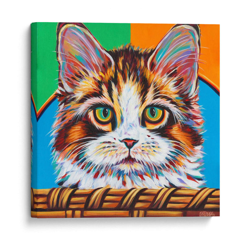 Gatito En La Cesta Ii - Carolee Vitaletti | Cuadro decorativo de Canvas Lab