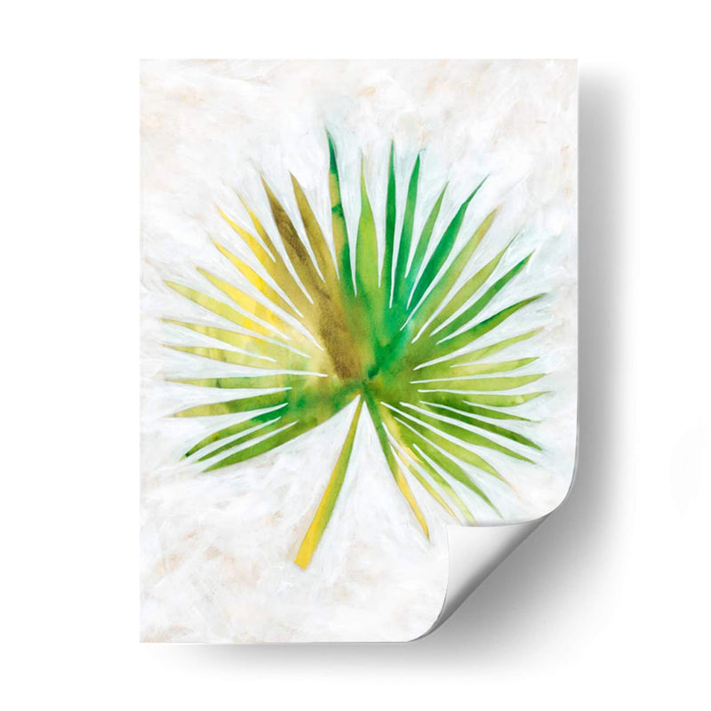 Ocean Side Palms Ii - Chariklia Zarris | Cuadro decorativo de Canvas Lab