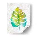 Ocean Side Palms Vi - Chariklia Zarris | Cuadro decorativo de Canvas Lab