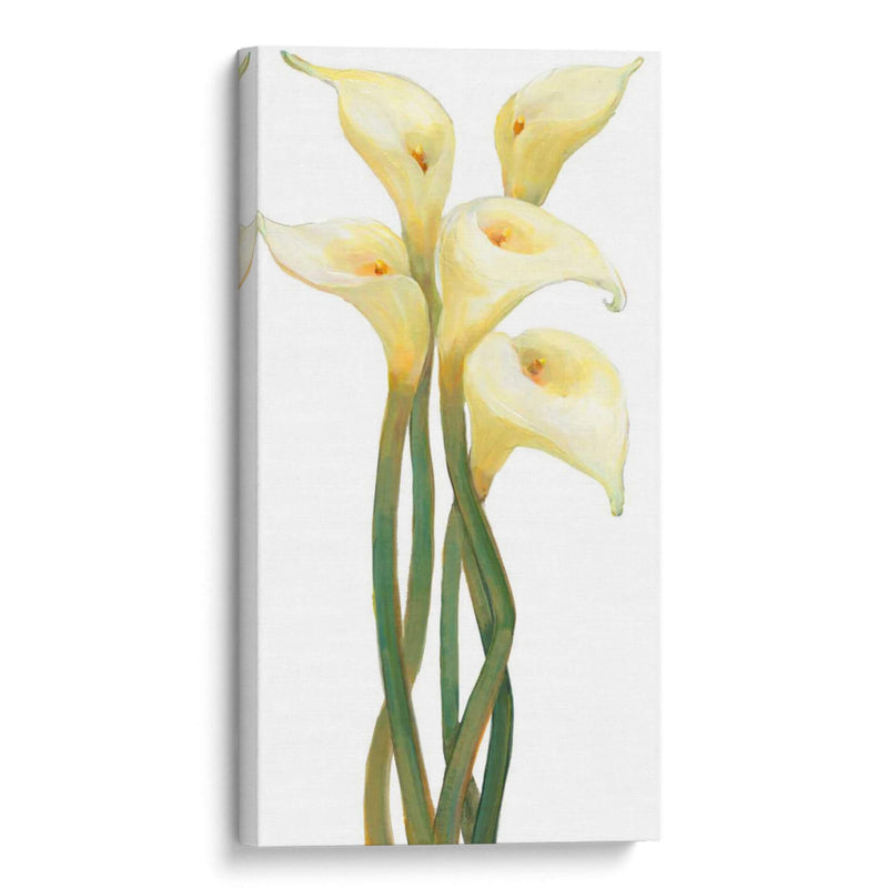 Callas En Silver Ii - Tim OToole | Cuadro decorativo de Canvas Lab