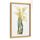 Callas En Silver Ii - Tim OToole | Cuadro decorativo de Canvas Lab