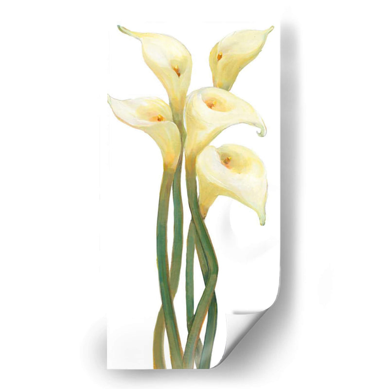 Callas En Silver Ii - Tim OToole | Cuadro decorativo de Canvas Lab