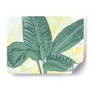 Palmas Ilustradas I - Grace Popp | Cuadro decorativo de Canvas Lab