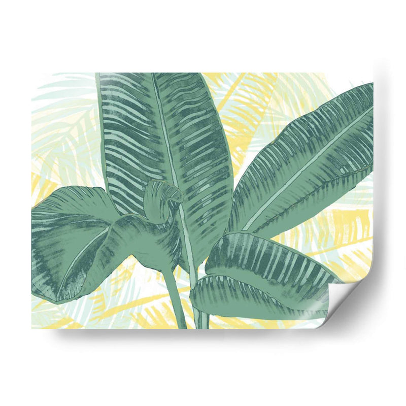 Palmas Ilustradas I - Grace Popp | Cuadro decorativo de Canvas Lab